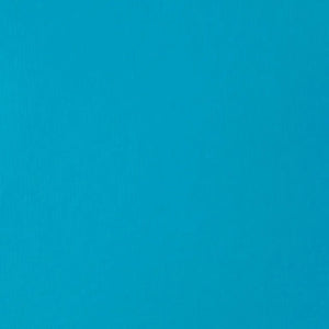 
            
                Load image into Gallery viewer, Liquitex Basics Acrylic 118ml Brilliant Blue
            
        