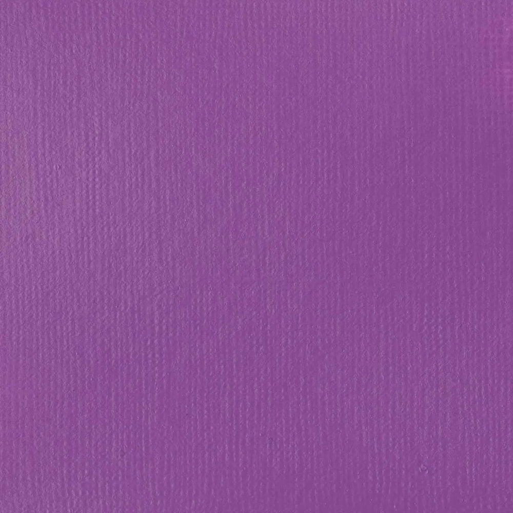 
            
                Load image into Gallery viewer, Liquitex Basics Acrylic 118ml Brilliant Purple
            
        