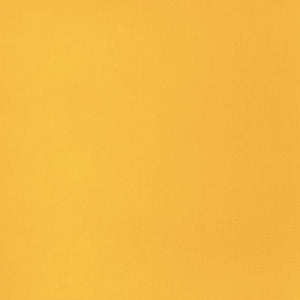 
            
                Load image into Gallery viewer, Liquitex Basics Acrylic 118ml Cadmium Yellow Deep Hue
            
        