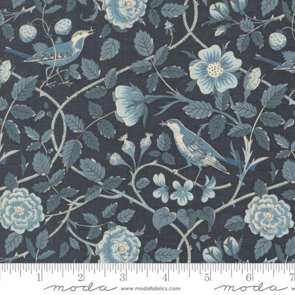 Oiseaux - Indigo