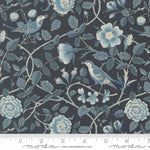 Oiseaux - Indigo