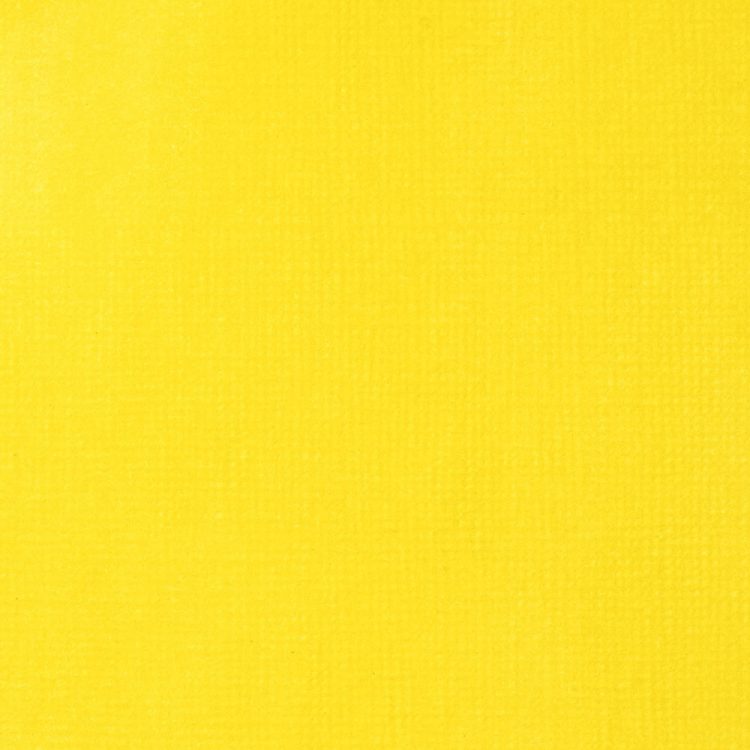 
            
                Load image into Gallery viewer, Liquitex Acrylic Ink 30ml Yellow Medium Azo
            
        