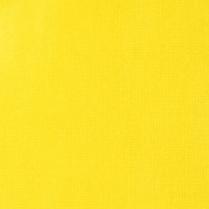 
            
                Load image into Gallery viewer, Liquitex Acrylic Ink 30ml Yellow Medium Azo
            
        