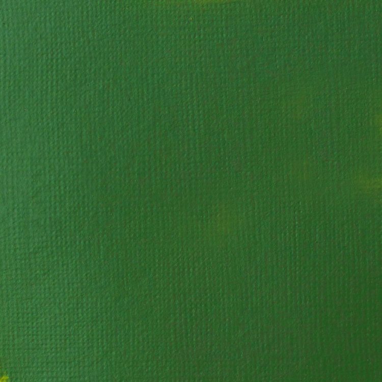 
            
                Load image into Gallery viewer, Liquitex Basics Acrylic 118ml Hooker&amp;#39;s Green Hue Permanent
            
        