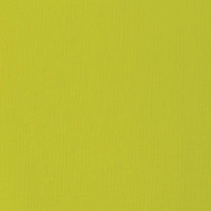 Liquitex Basics Acrylic 118ml Light Olive Green
