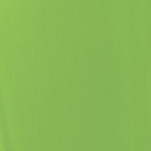 
            
                Load image into Gallery viewer, Liquitex Basics Acrylic 118ml Lime Green
            
        