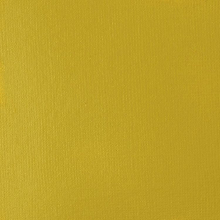 
            
                Load image into Gallery viewer, Liquitex Basics Acrylic 118ml Yellow Oxide
            
        