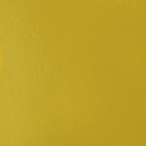 
            
                Load image into Gallery viewer, Liquitex Basics Acrylic 118ml Yellow Oxide
            
        