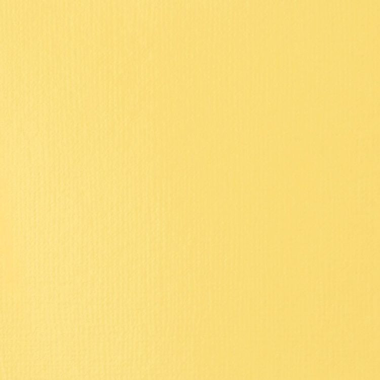 Liquitex Basics Acrylic 118ml Naples Yellow Hue