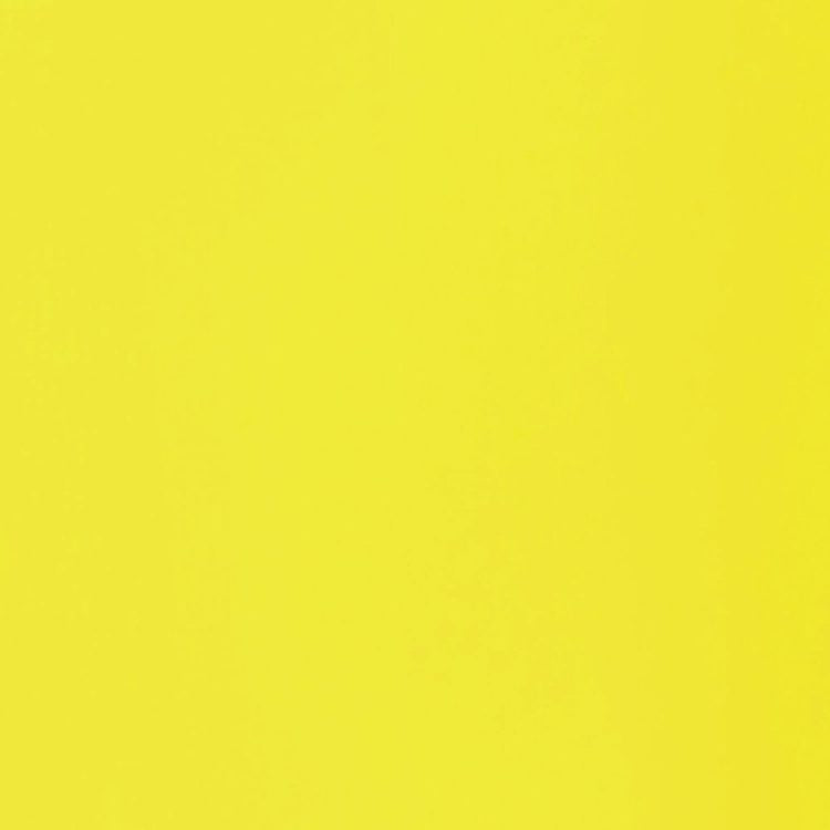 
            
                Load image into Gallery viewer, Liquitex Basics Acrylic 118ml Fluorescent Yellow
            
        
