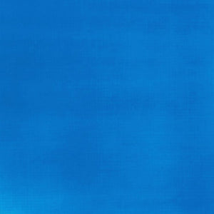 
            
                Load image into Gallery viewer, Liquitex Basics Acrylic 118ml Fluorescent Blue
            
        