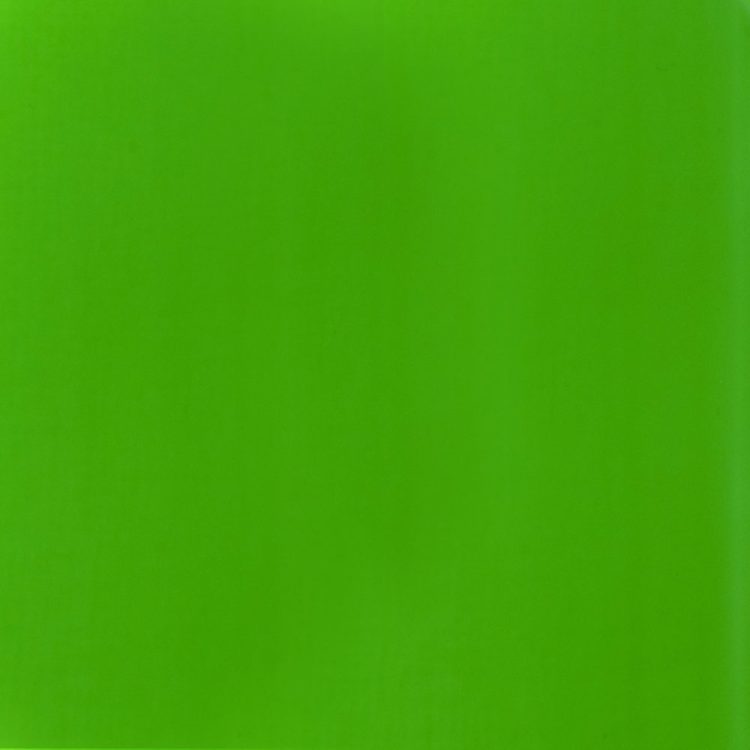 Liquitex Basics Acrylic 118ml Fluorescent Green