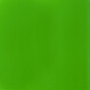Liquitex Basics Acrylic 118ml Fluorescent Green