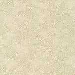 Fusions Wide - Linen