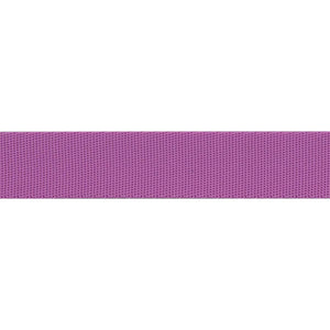 Tula Pink Everglow Webbing Mystic/Purple 1"
