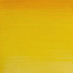 Winsor & Newton Cotman Water Colour 8ml Cadmium Yellow Hue