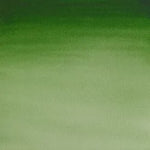 Winsor & Newton Cotman Water Colour 8ml Hookers Green Light