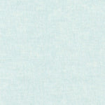 Essex Yarn Dyed Linen - 1005 Aqua