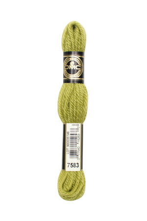 DMC Tapestry Wool - 7583
