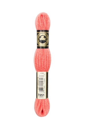 DMC Tapestry Wool - 7851