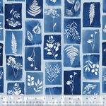 Cyanotype - Multi