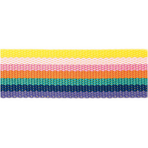 Bag Strapping Rainbow 40mm x 2m