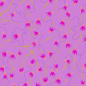 Wildflowers Coneflower - Lilac