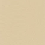 Kona Cotton Solids - 1369 Tan