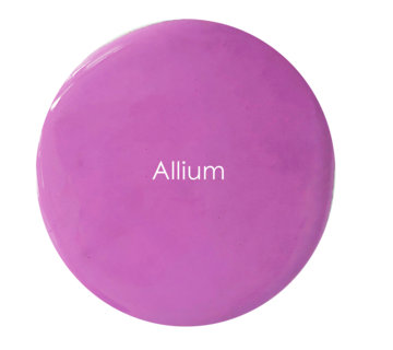 Allium - Velvet Luxe