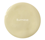 Burmese - Velvet Luxe