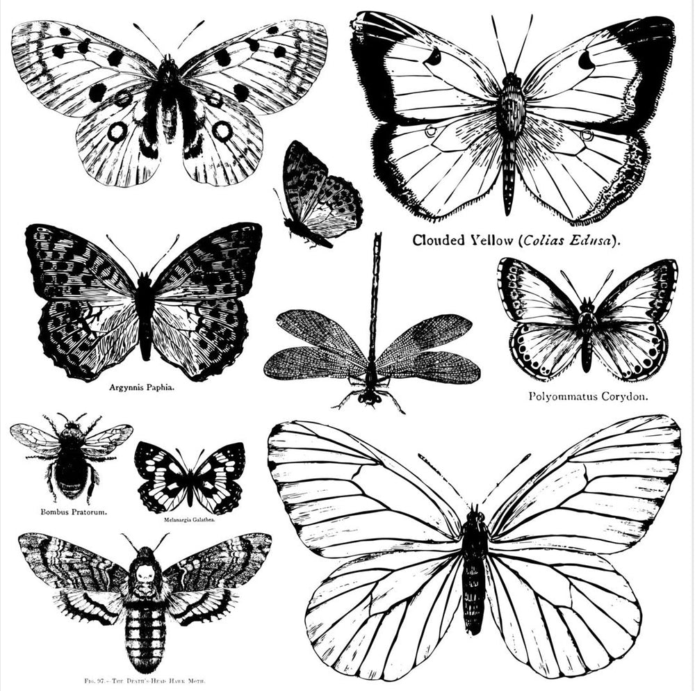 Butterflies 12 x12" Decor Stamp