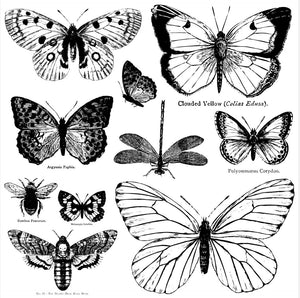 Butterflies 12 x12" Decor Stamp