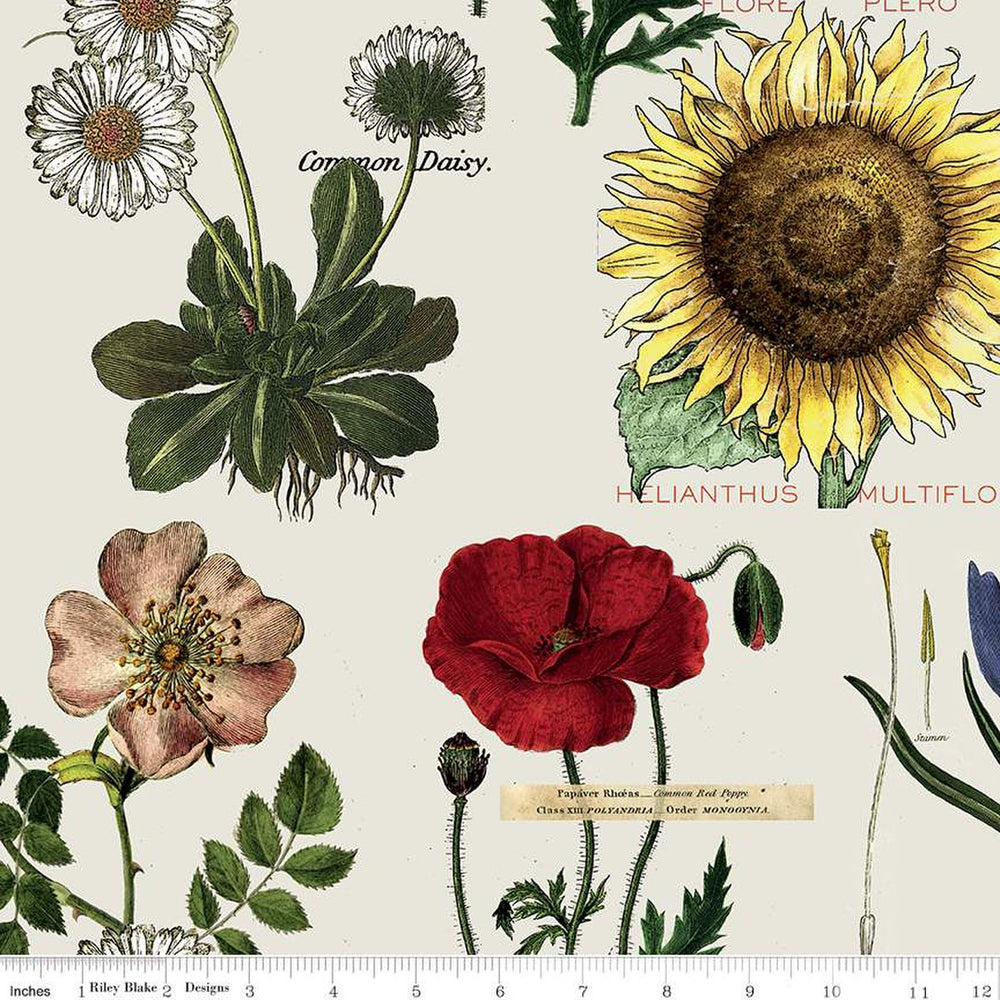 
            
                Load image into Gallery viewer, Botanicals - Lt Grey CD13038
            
        