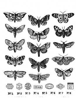 Tim Holtz Cling Stamp Set Moth Study