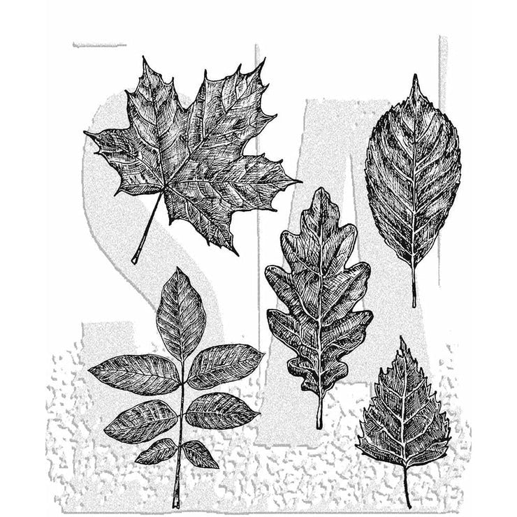 Tim Holtz Cling Stamp Set Sketchy Leaves