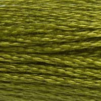 
            
                Load image into Gallery viewer, STRANDED COTTON 8M SKEIN Cactus Green
            
        