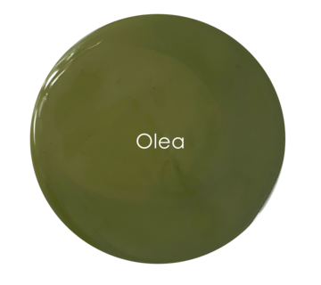 
            
                Load image into Gallery viewer, Olea - Premium Chalk Paint - 120ml
            
        