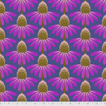 Echinacea - Haute
