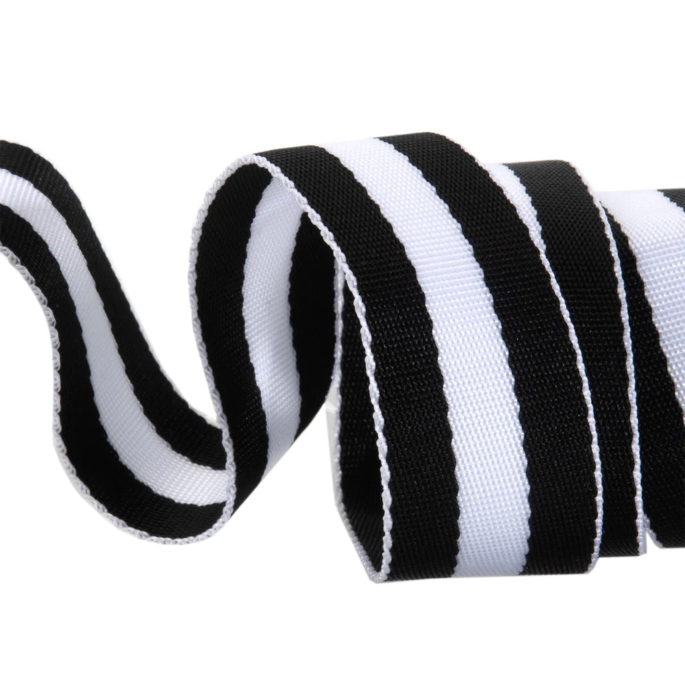 
            
                Load image into Gallery viewer, Tula Pink 1.5&amp;quot; Striped Webbing Black/White
            
        