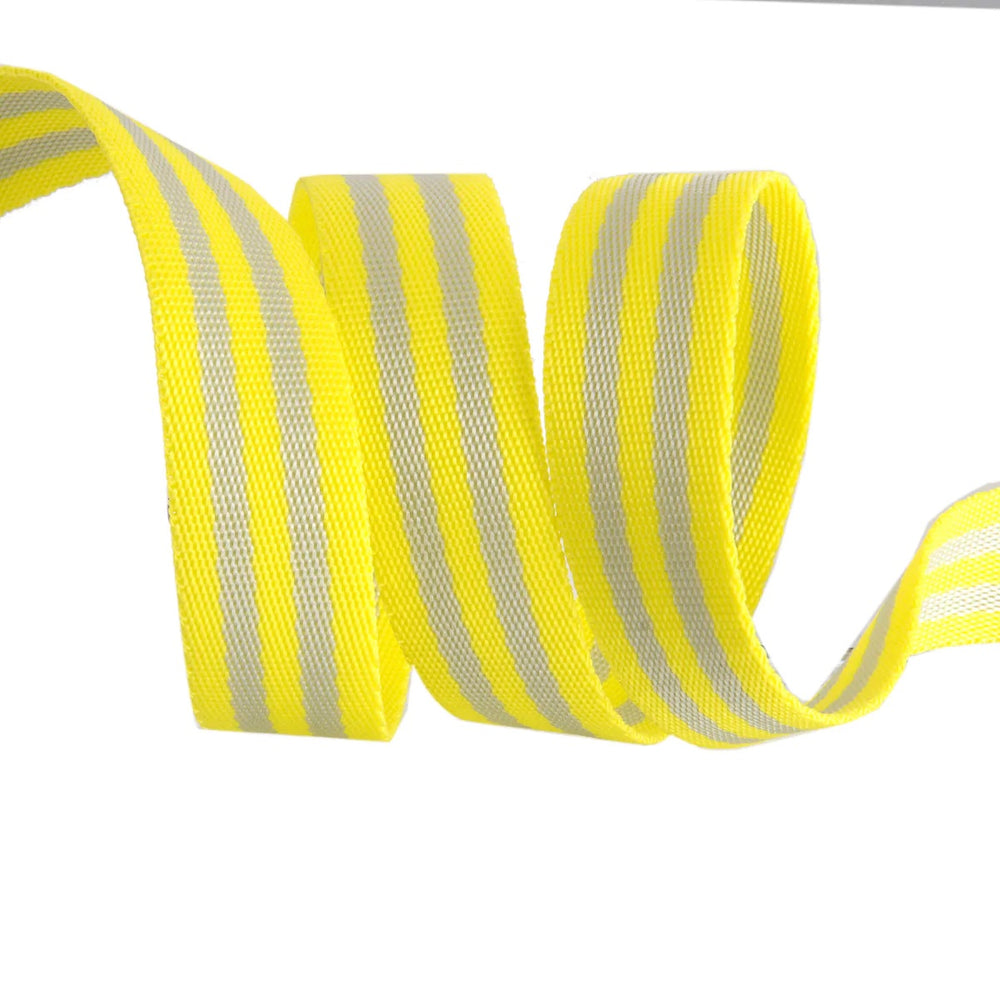 
            
                Load image into Gallery viewer, Tula Pink 1&amp;quot; Striped Webbing Grey/Neon Yellow
            
        