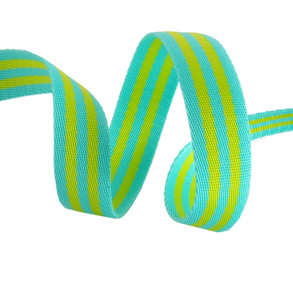 Tula Pink 1" Striped Webbing Lime/Turquoise